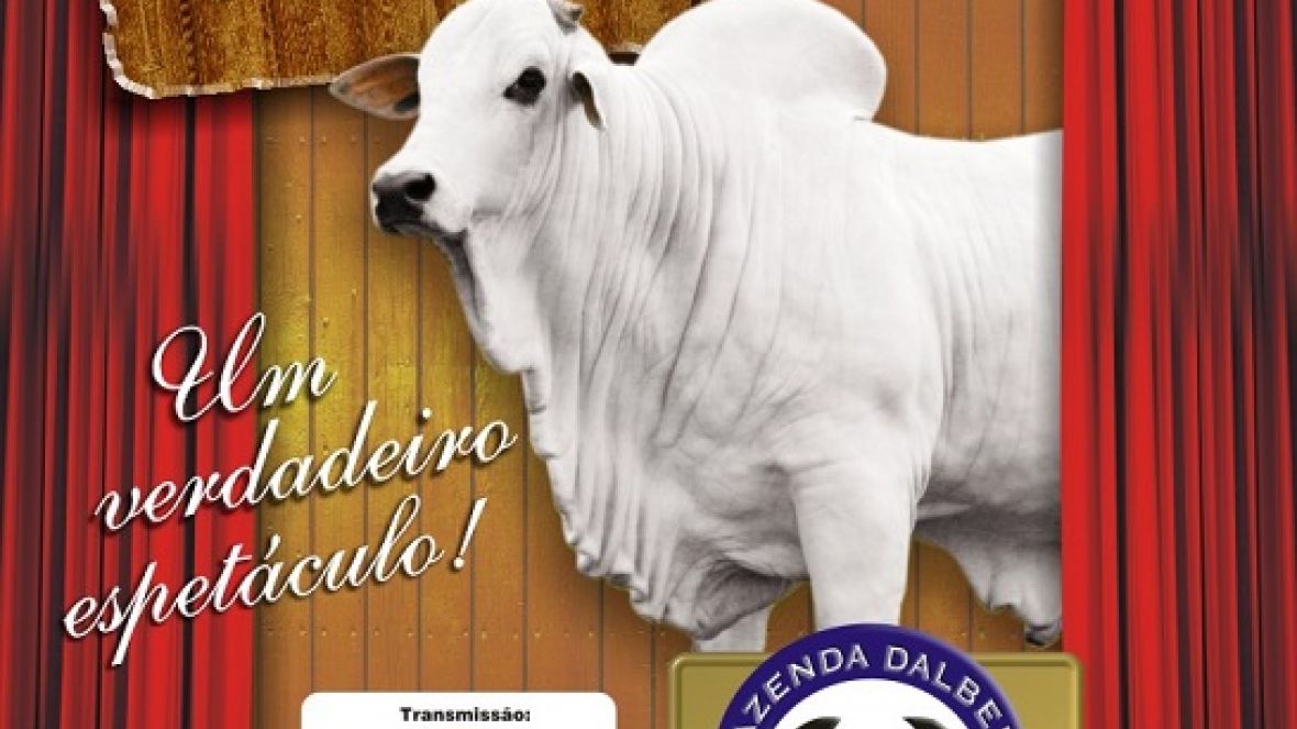 Leilão oficializado pelo PMGZ oferta reprodutores nelore PO