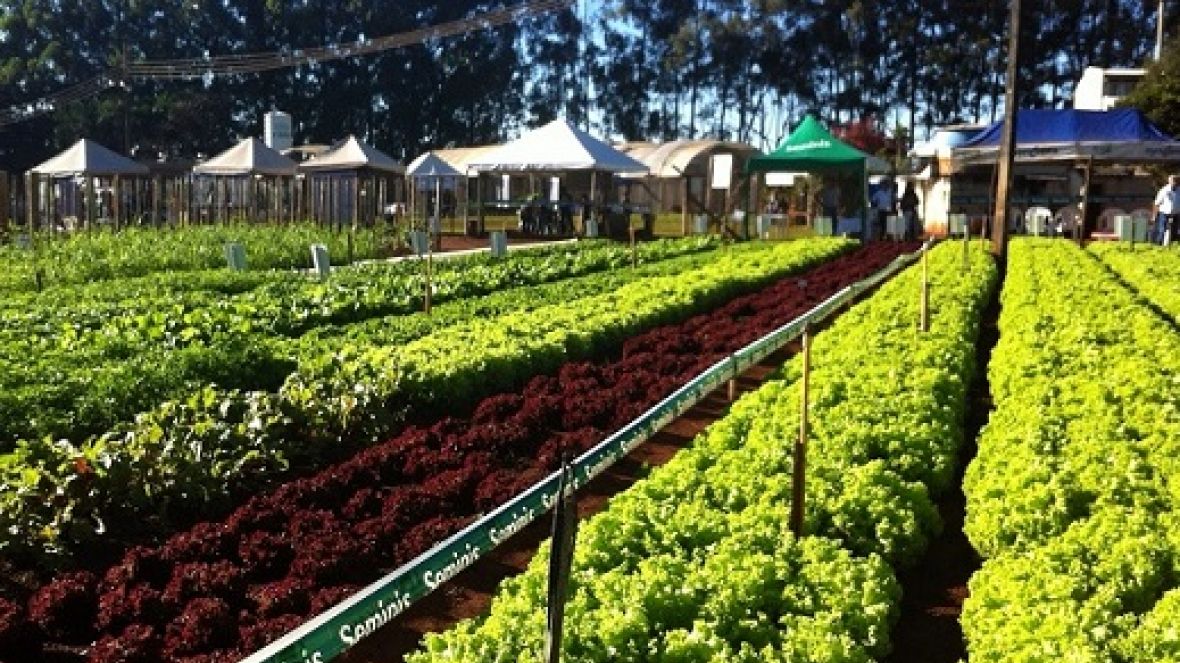 Porteira Adentro e Encontro do Produtor Rural movimentam FAZU