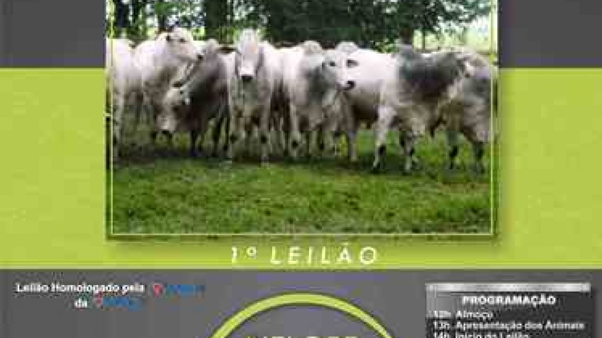 Norte aguarda oferta de touros do PMGZ