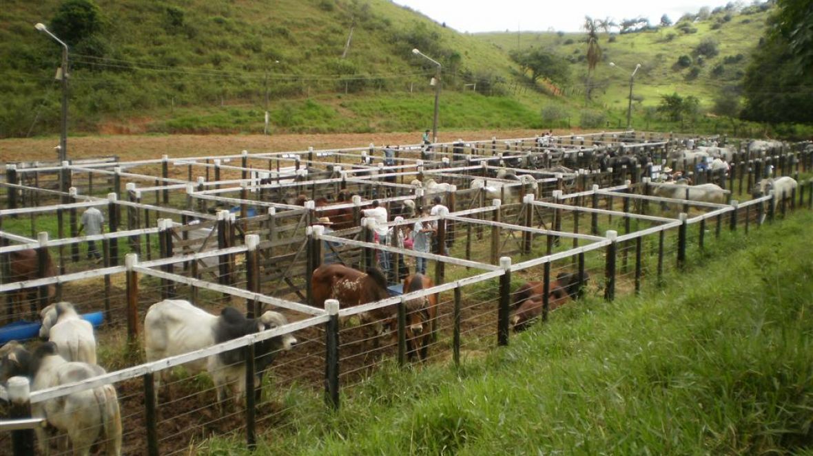 Feira de Touros do Pró-genética em Ataleia tem resultado positivo