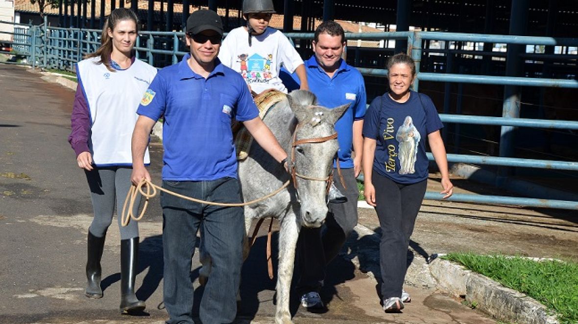 Estudantes aprendem sobre pecuária leiteira