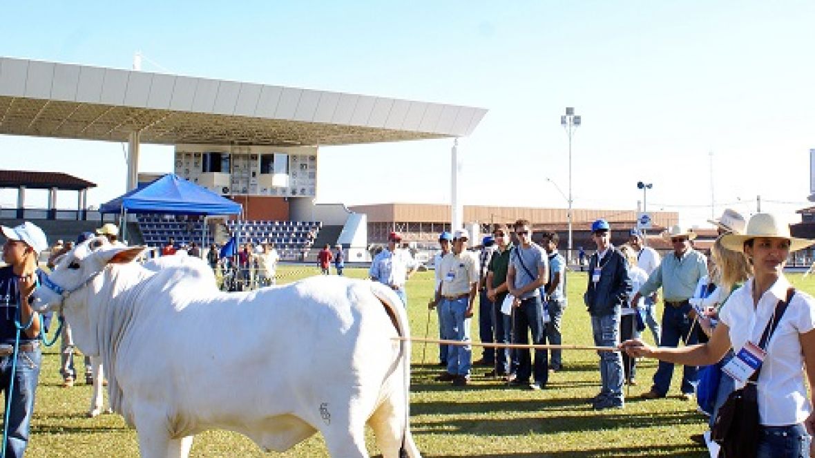 Inscrições abertas para cursos de Pós-Graduação na FAZU