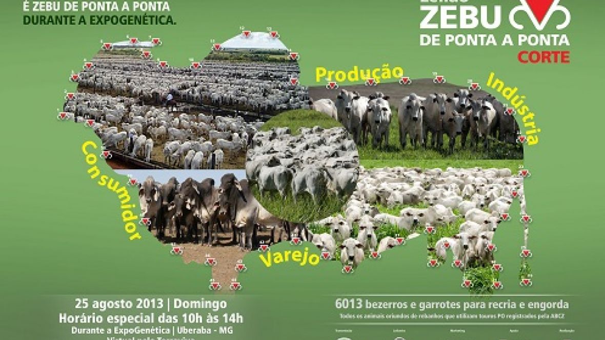 Leilão Zebu de Ponta a Ponta é novidade na ExpoGenética