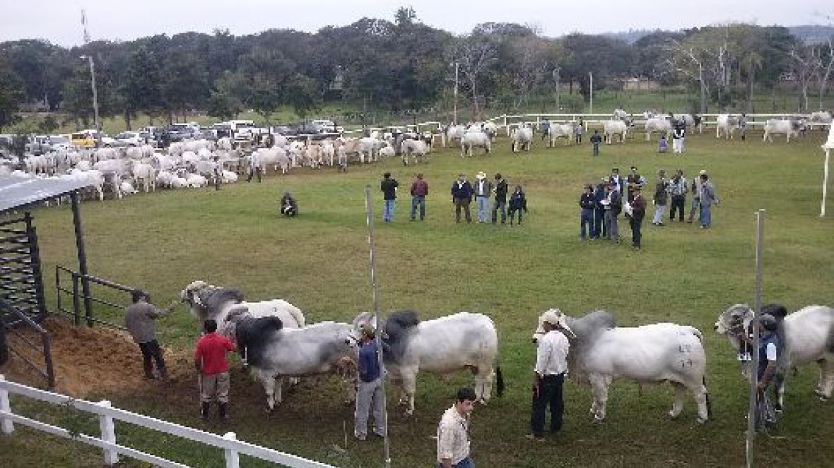ABCZ participa de feira no Paraguai