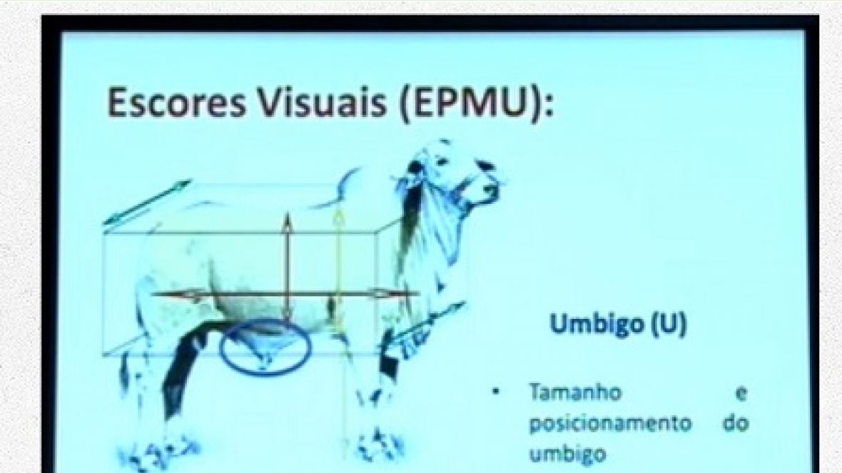 PMGZ é tema de palestra durante a Expo Araçatuba 2013