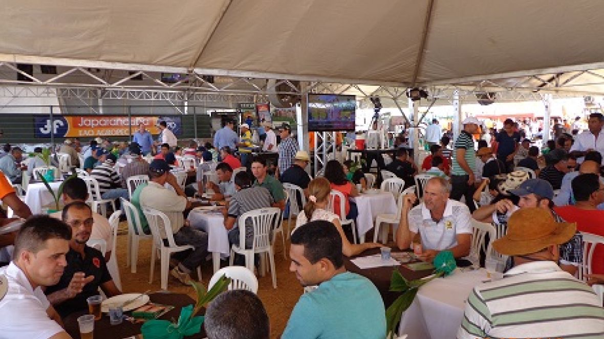 Leilão homologado pelo PMGZ na Bahia dissemina genética melhoradora