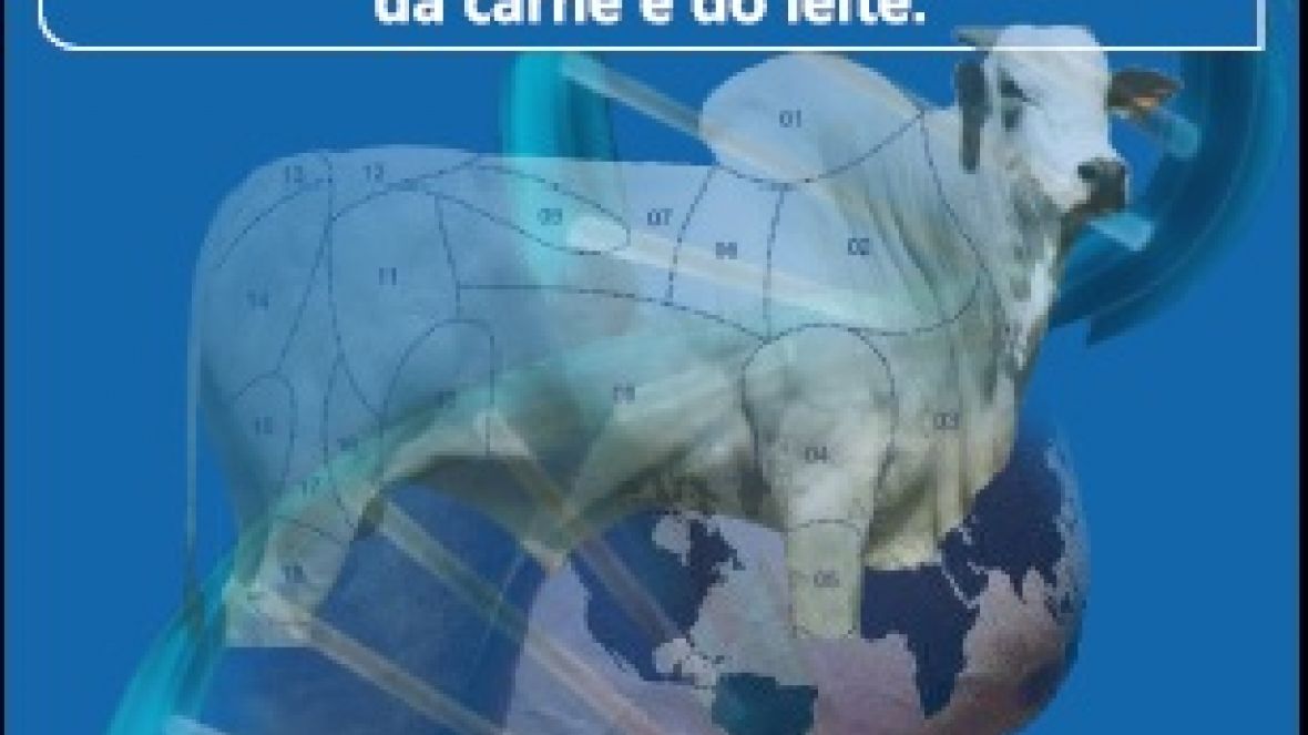 Zebu na Universidade 