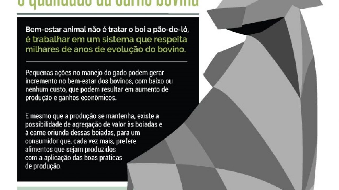 Curso da Scot Consultoria debate Bem Estar Animal