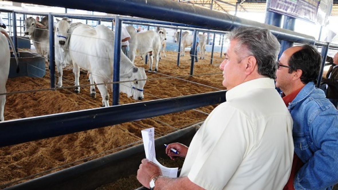 PNAT e Prêmio Cláudio Sabino são atrações na ExpoGenética