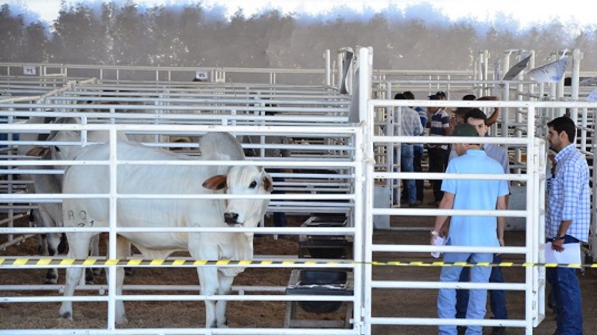 Avaliações do PNAT tem início nesta quarta-feira