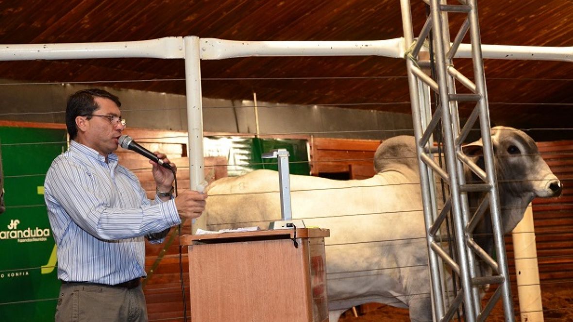 Leilões da ExpoGenética 2013 movimentam mais de R$ 3,7 milhões