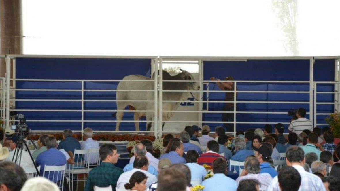 Os 12 eleitos do PNAT são anunciados em grande festa