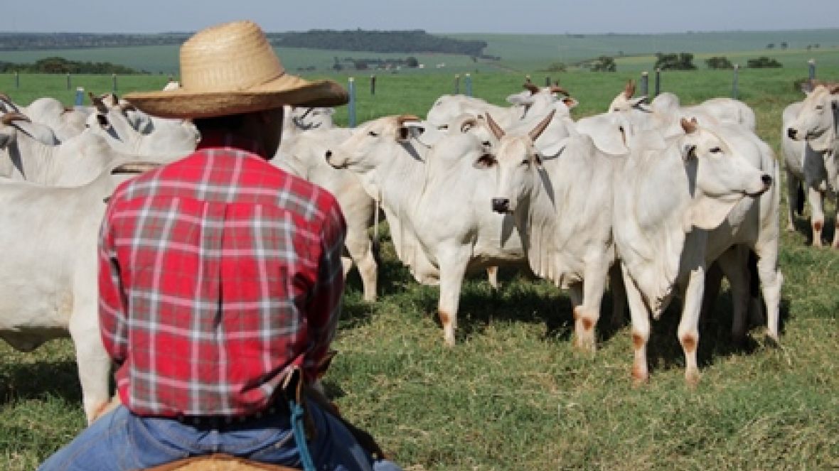 ABCZ promove treinamento no Maranhão.