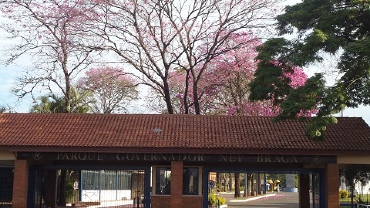 ABCZ realiza reunião de Ouvidoria em Londrina