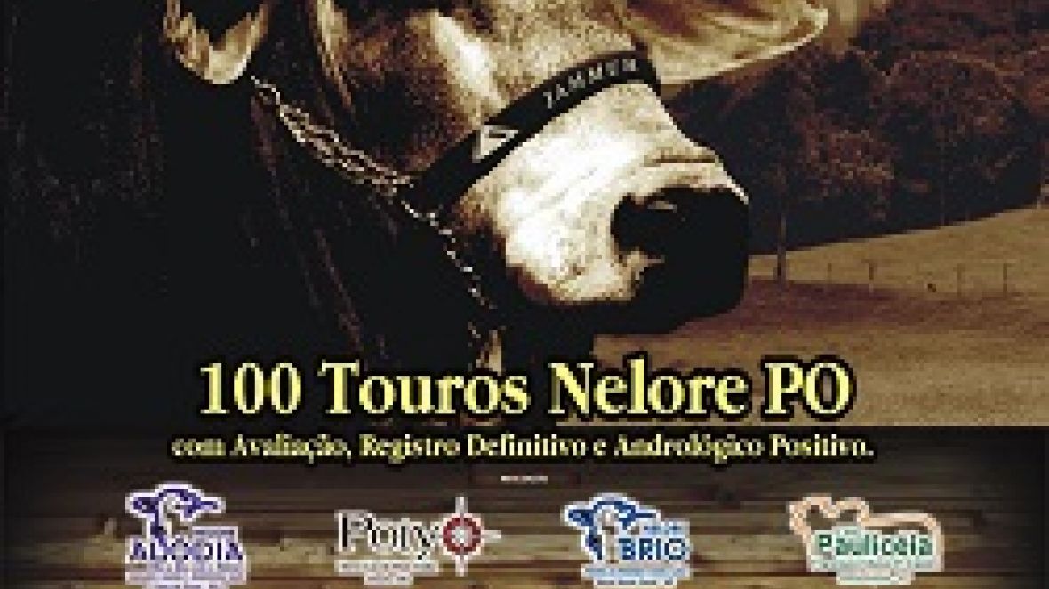 PMGZ e Pró-Genética chancelam leilão no Mato Grosso