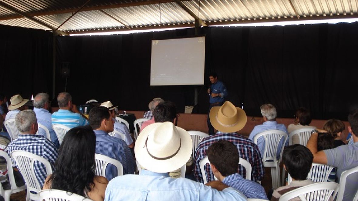 Dia de campo apresenta resultados de PGP e manejo de pastagens