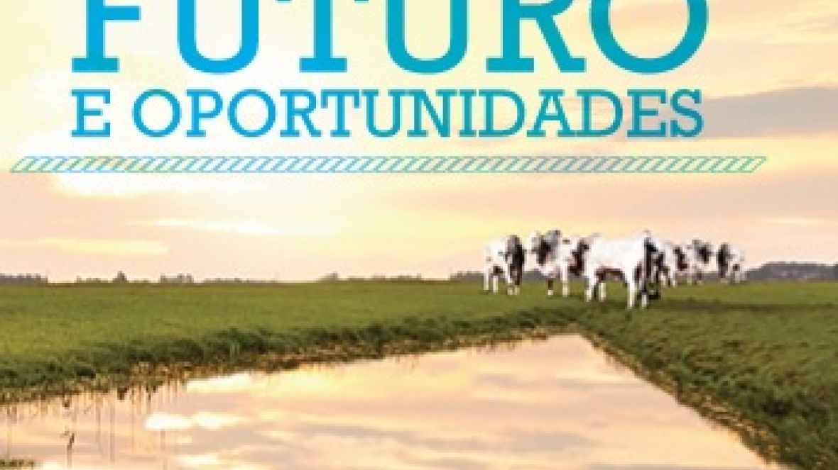 ABCZ participa de workshop sobre Associações de Pecuaristas