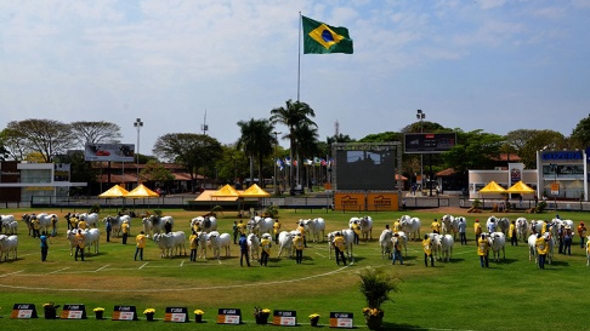 Expoinel será aberta oficialmente no domingo
