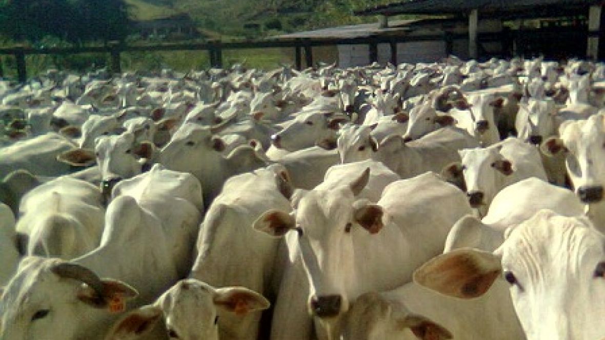 ProduZ cumpre calendário de treinamento no Norte