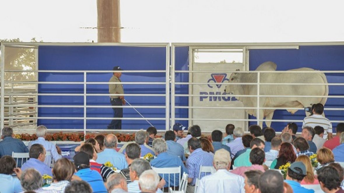 PMGZ divulga regulamento para PNAT 2014