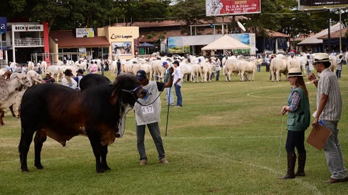 CJRZ promove prova para efetivação de jurados