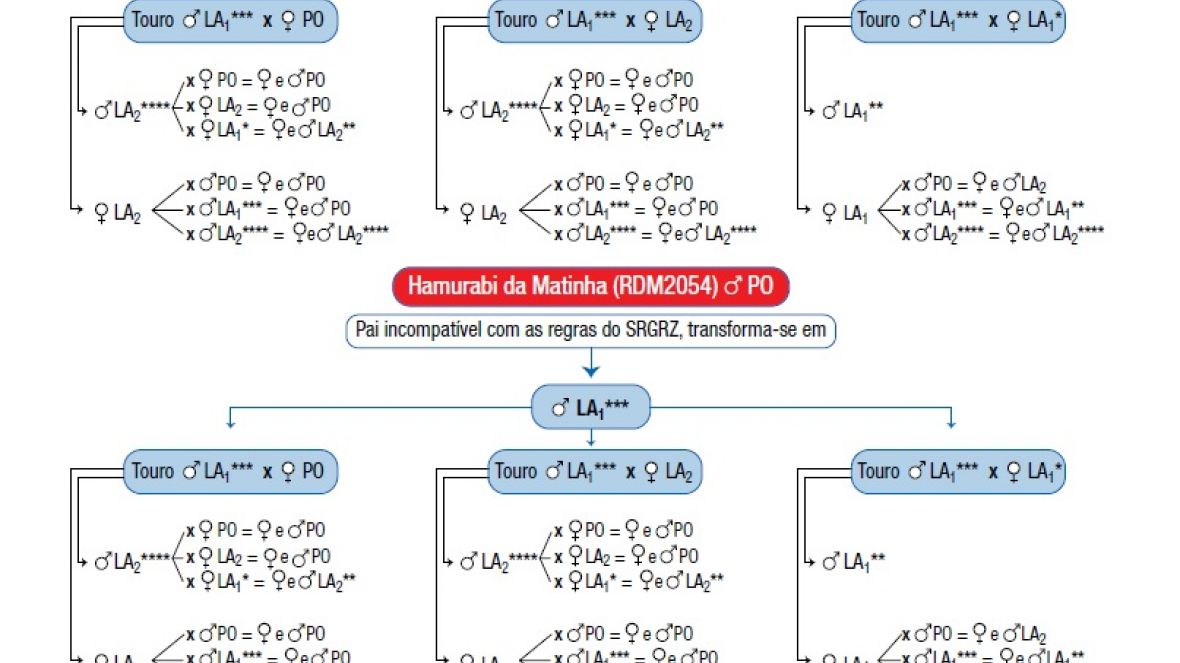 Resultados oficiais do MAPA sobre parentesco de touros  Nelore.