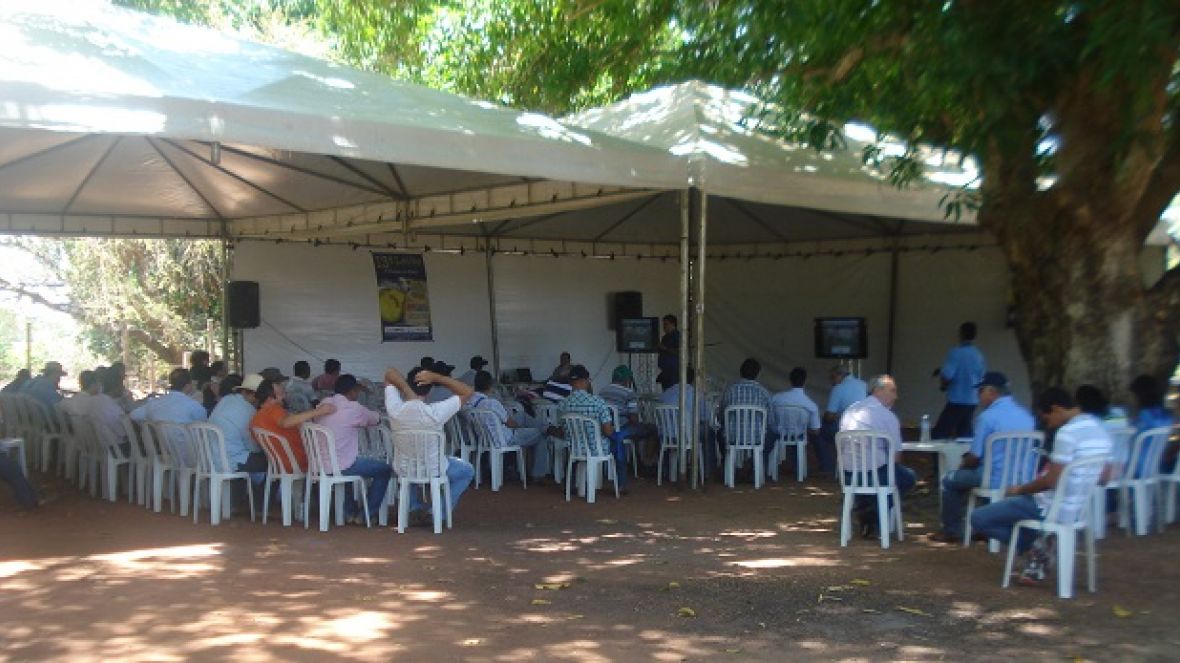 Parceria ABCZ-MAPA viabiliza Dia de Campo em TO