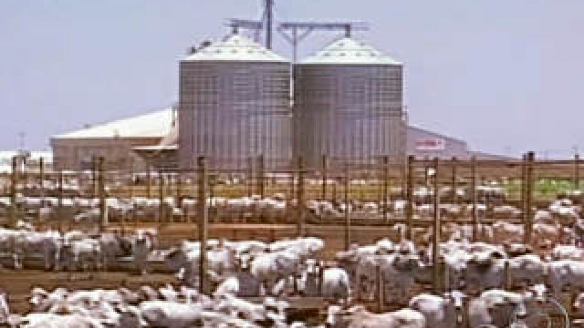 72 horas de Pró-Genética no Oeste Baiano      