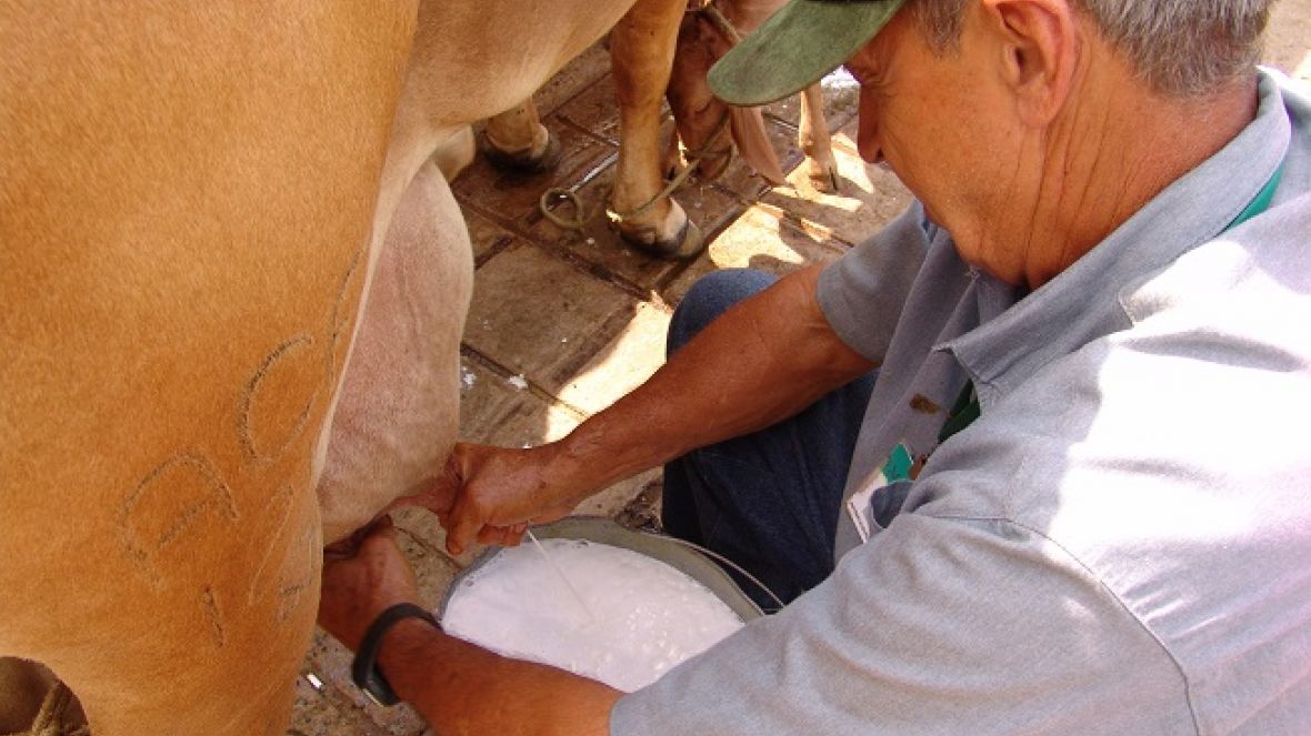 Esclarecimento ? Cobranças Lactações Encerradas