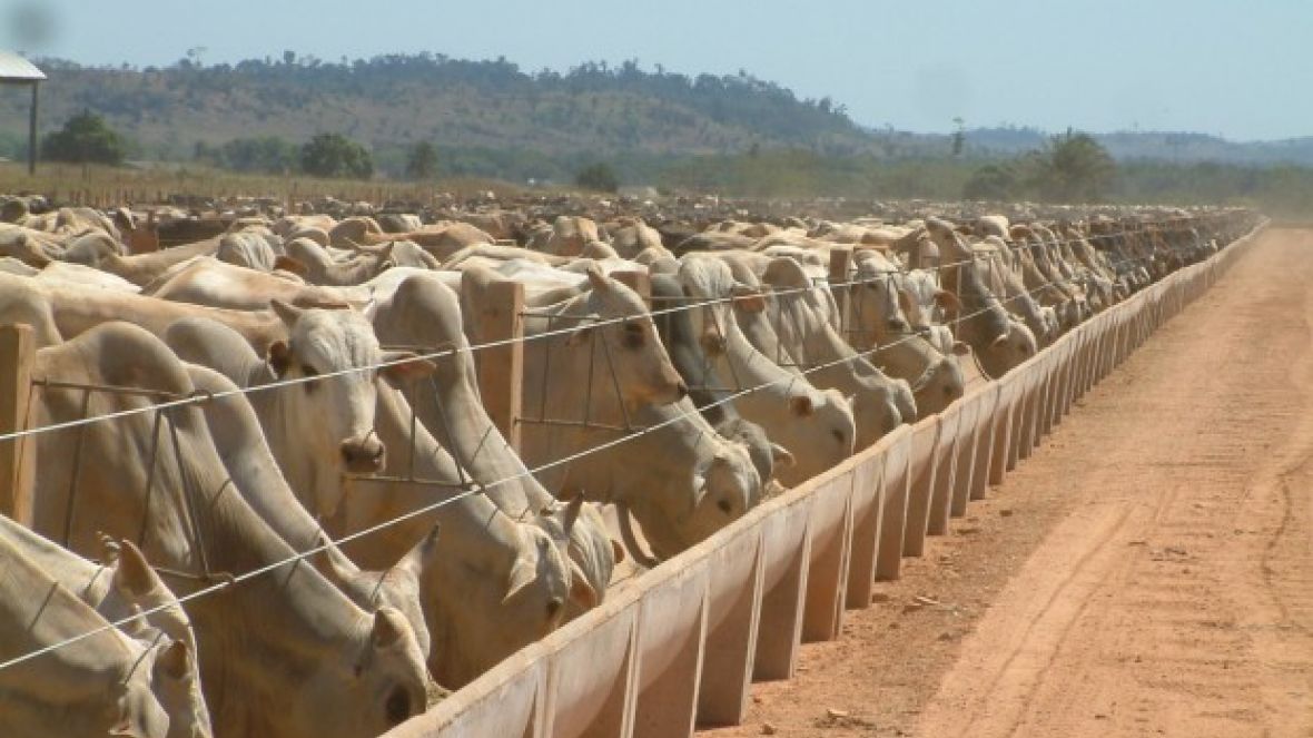 Especialista em confinamento participa de mesa-redonda na FAZU 