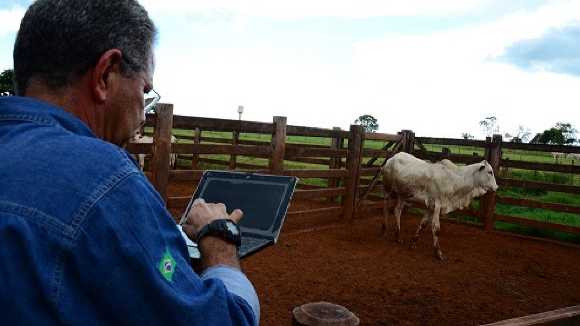 ABCZ realiza pesquisa anual de satisfação dos criadores