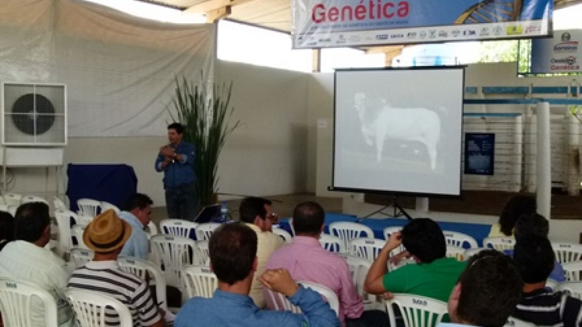 ABCZ bem perto dos criadores da Bahia