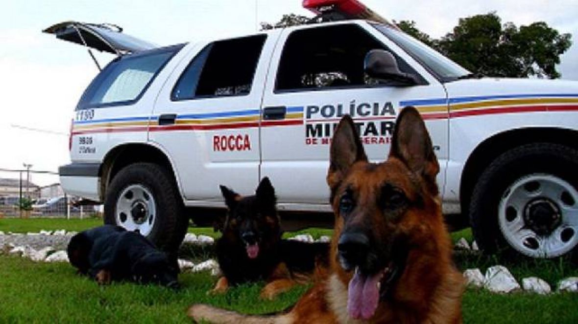 K9 de Uberaba fará apresentação no Parque Fernando Costa