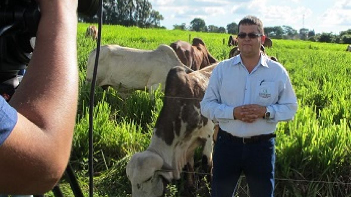 Novo Agrocurso ?Manejo de Pastagem? começa em Janeiro