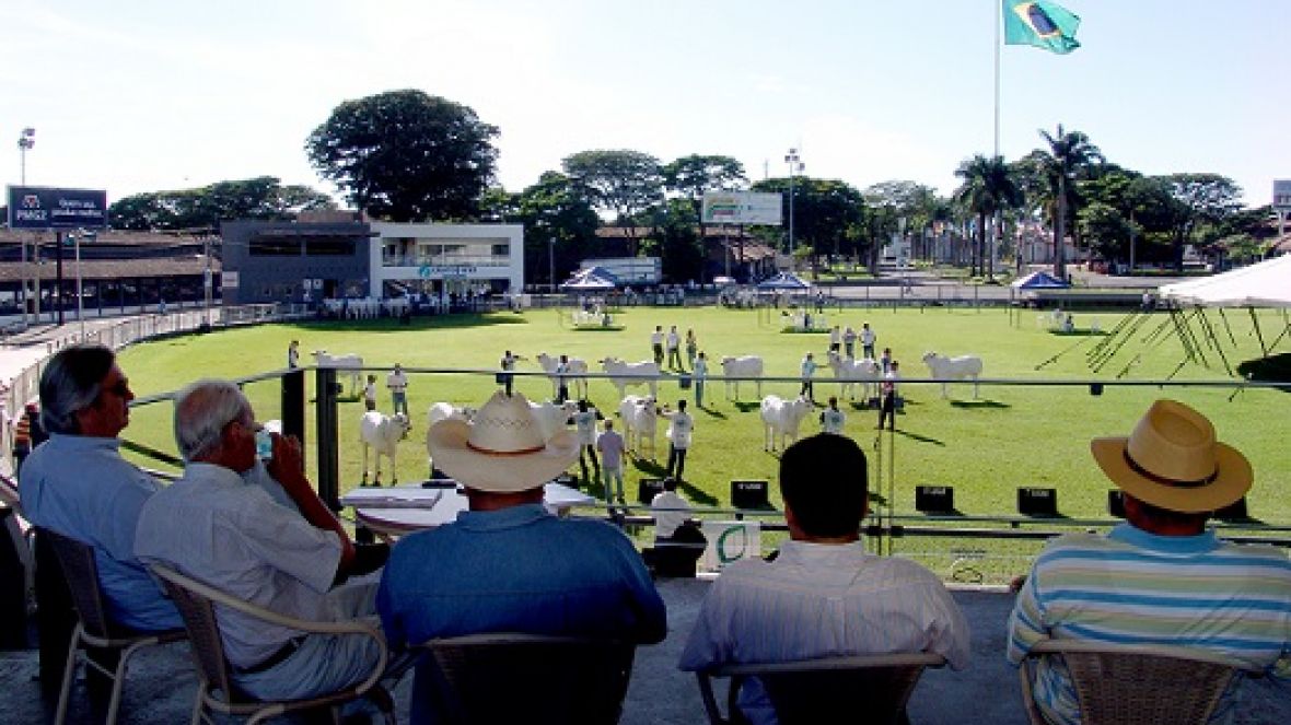 Expoinel Minas abre calendário de exposições em Uberaba