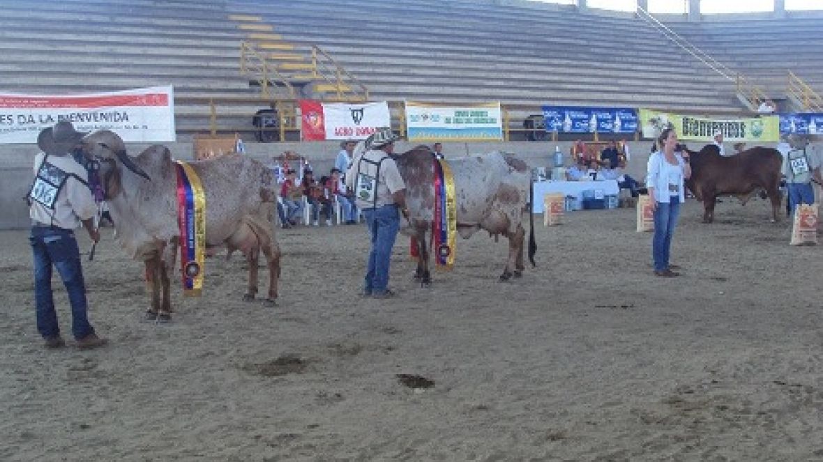 Jurados brasileiros participam de julgamentos internacionais