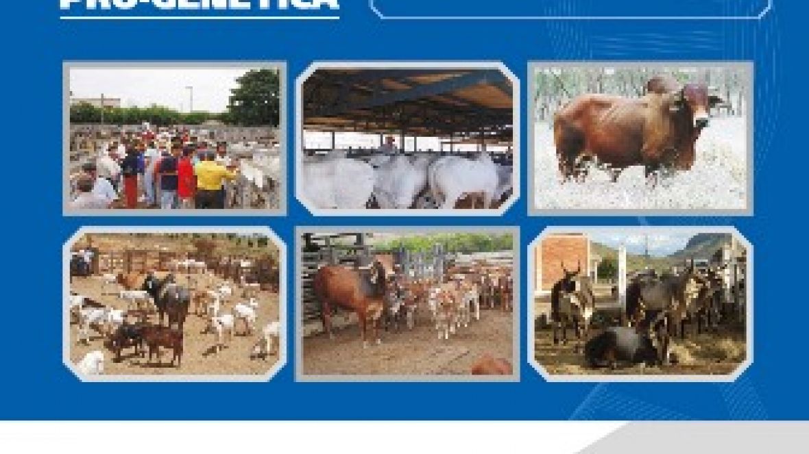 Perdizes abre calendário do Pró-Genética em MG