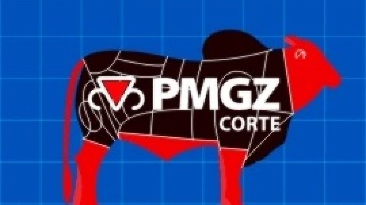 PMGZ Corte disponibiliza Avaliações Genéticas atualizadas