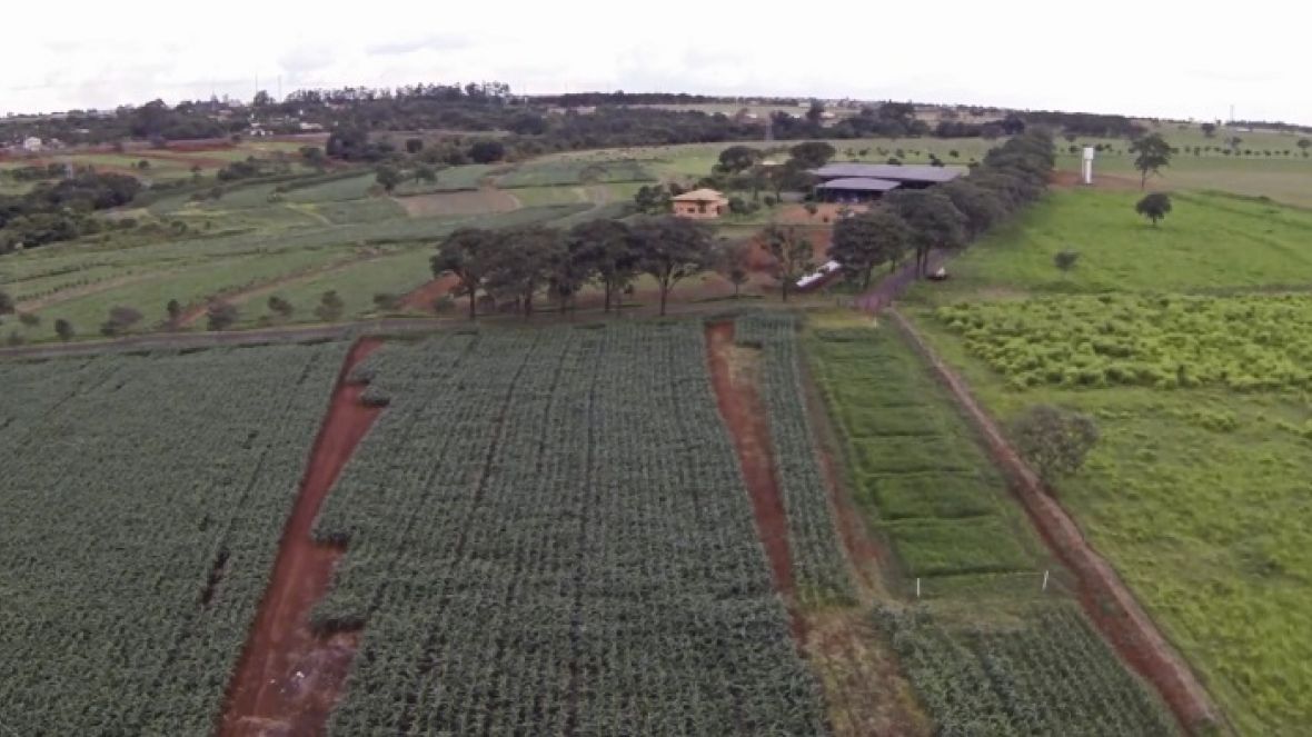 Vídeo mostra imagem panorâmica da ExpoZebu Dinâmica