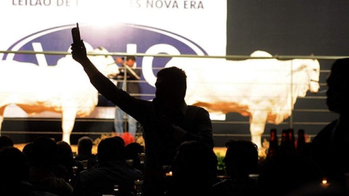 ExpoZebu 80 anos terá 36 leilões e 3 shoppings