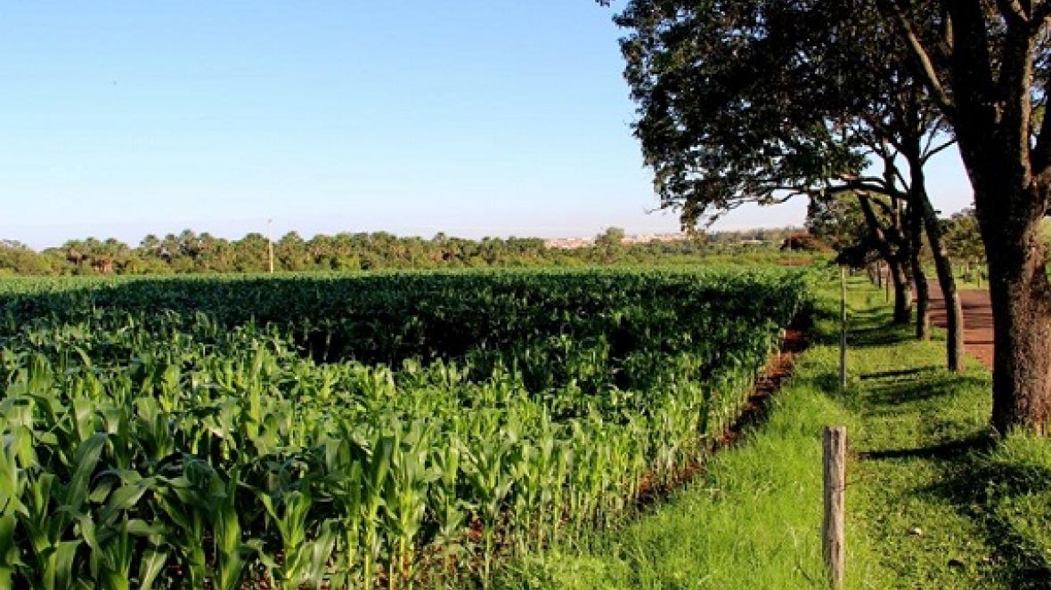 Expozebu Dinâmica traz ao Brasil tecnologia para estabilização permanente de solos