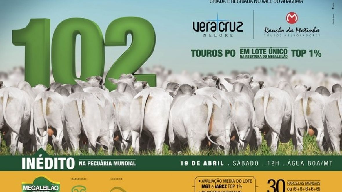 PMGZ homologa lote recorde do Megaleilão 