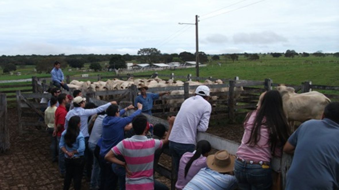 PGP fundamenta Dia de Campo no TO