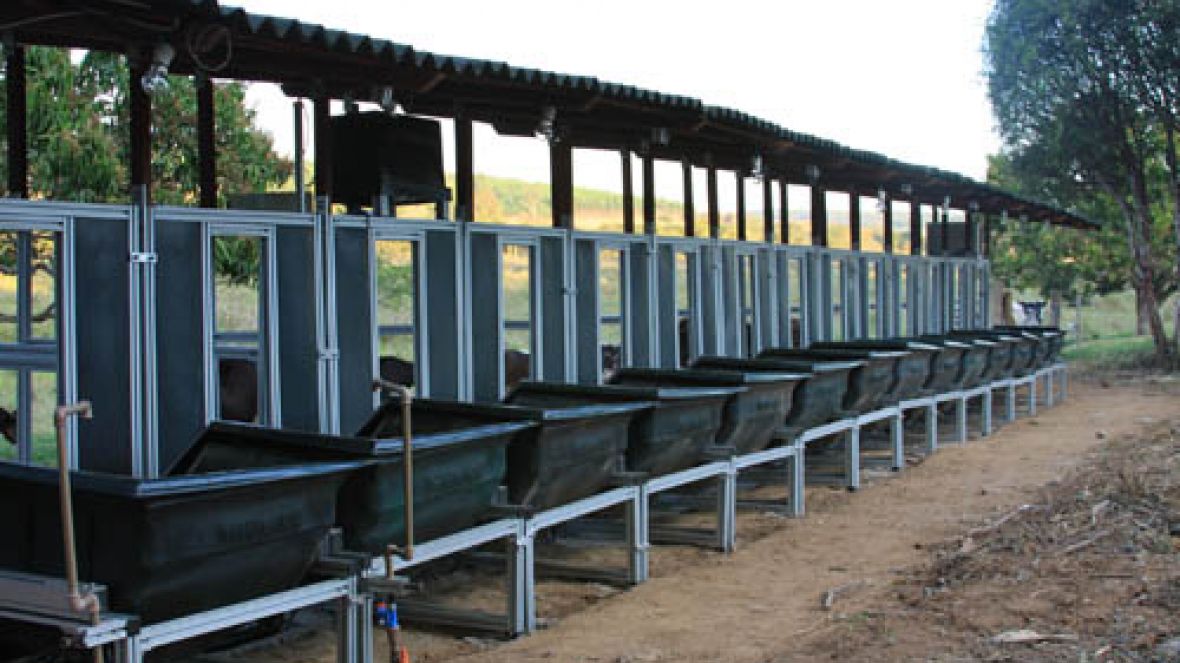 Inscrições abertas para 	1ª Prova de Eficiência Alimentar - ABCZ/FAZU