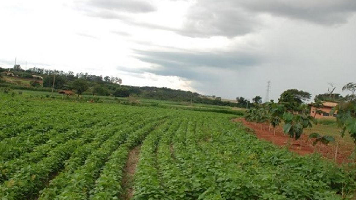 ExpoZebu Dinâmica receberá caravanas de mais de 20 cidades