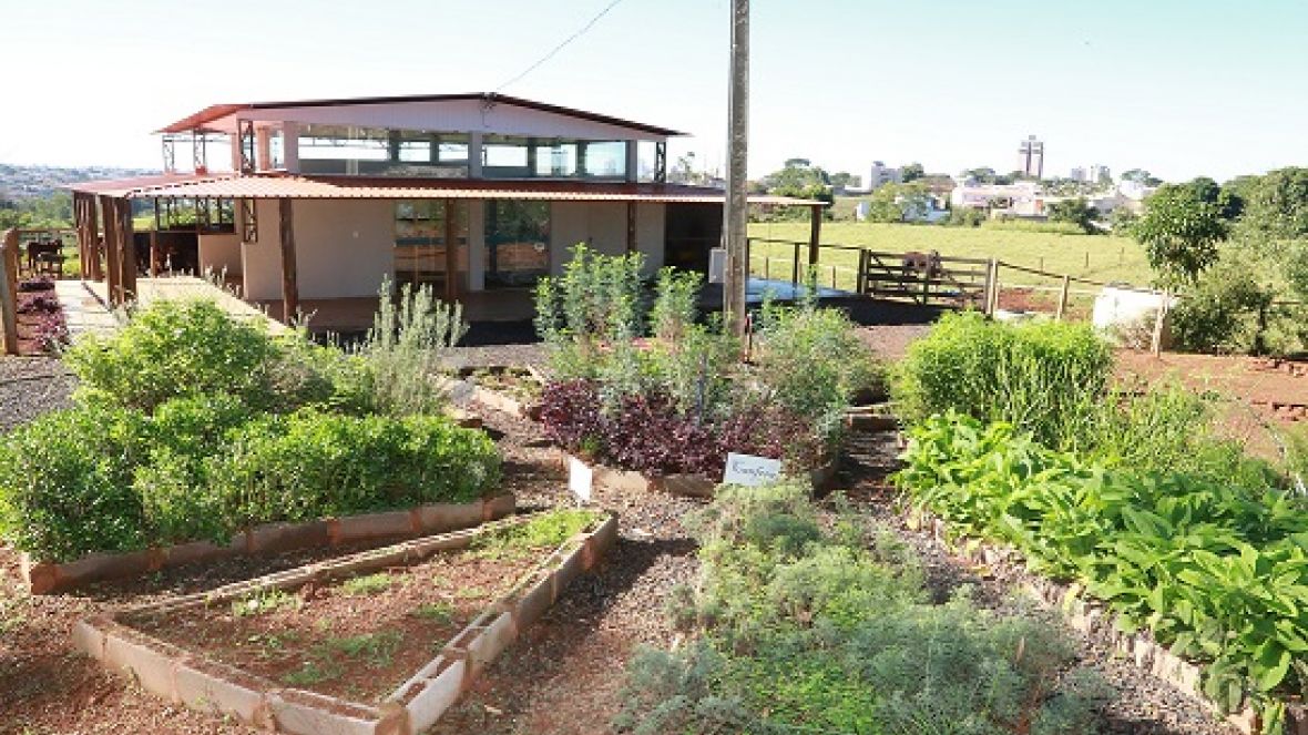 Shopping ofertará animais nascidos no projeto de Leite Orgânico da FAZU