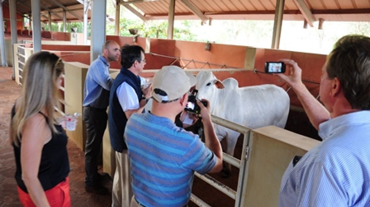 Estrangeiros terão 20 opções de Farm Tour 