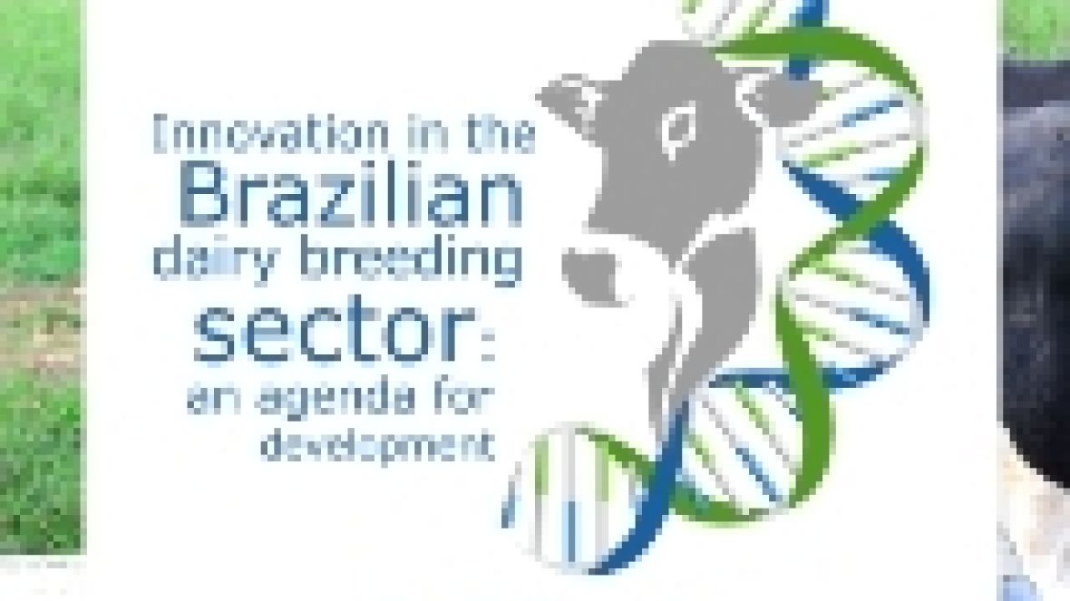 Workshop internacional discute melhoramento genético na ExpoZebu