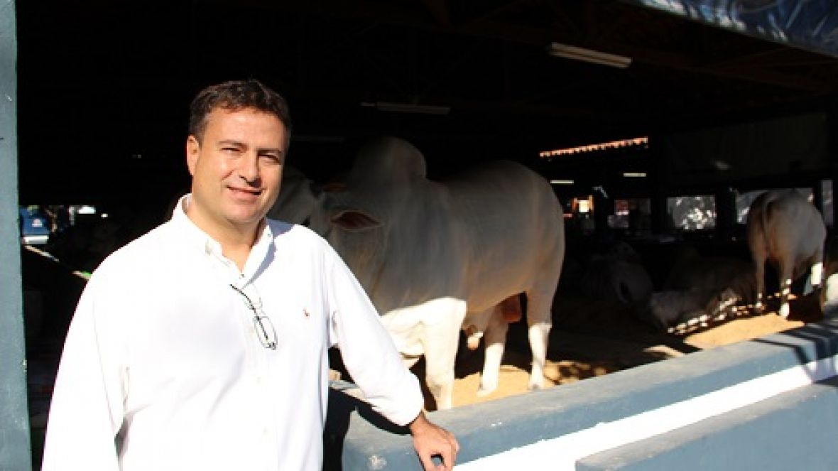 Presidente da ABCZ faz balanço do início da ExpoZebu 80 anos