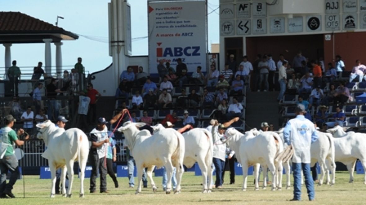 ExpoZebu recebe quase 170 mil visitantes